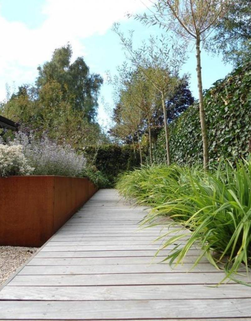 Buitenpotten Carrez standaard - Cortenstaal - rechthoek