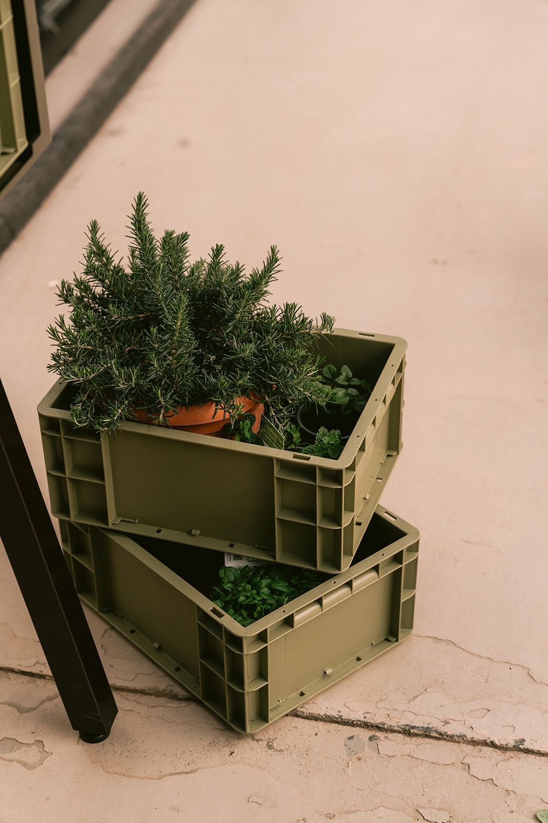 Gardenworks Crate