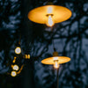 The Disc - Set