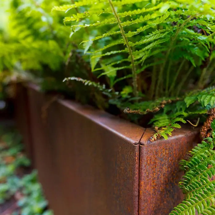 Buitenpotten Carrez Connect zonder bodem - Cortenstaal - rechthoek