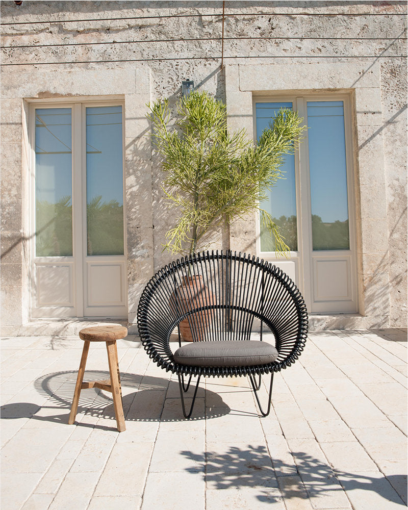 Roy Cocoon - 2 colors