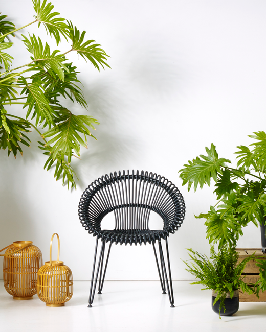 Roxy Dining chair - 2 colors