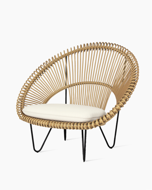 Roy Cocoon - 2 colors