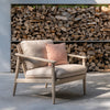 David Lounge chair
