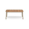 Shine Table rechthoek Aluminium + Teak top - 166x100