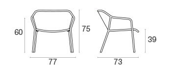 Darwin Lounge chair / 2 stuks