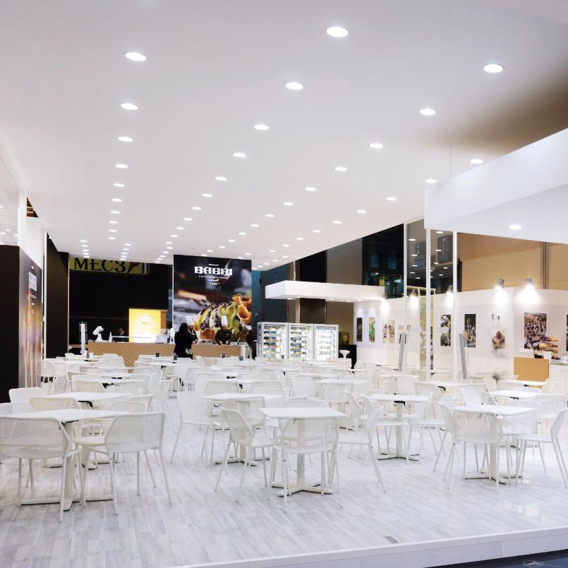 Darwin chair / 2 stuks