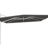 Kingston 400 x 300 cm