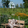 Wheelbench / Kruiwagenbank - Eiken Hout