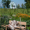 Wheelbench / Kruiwagenbank - Accoya Hout