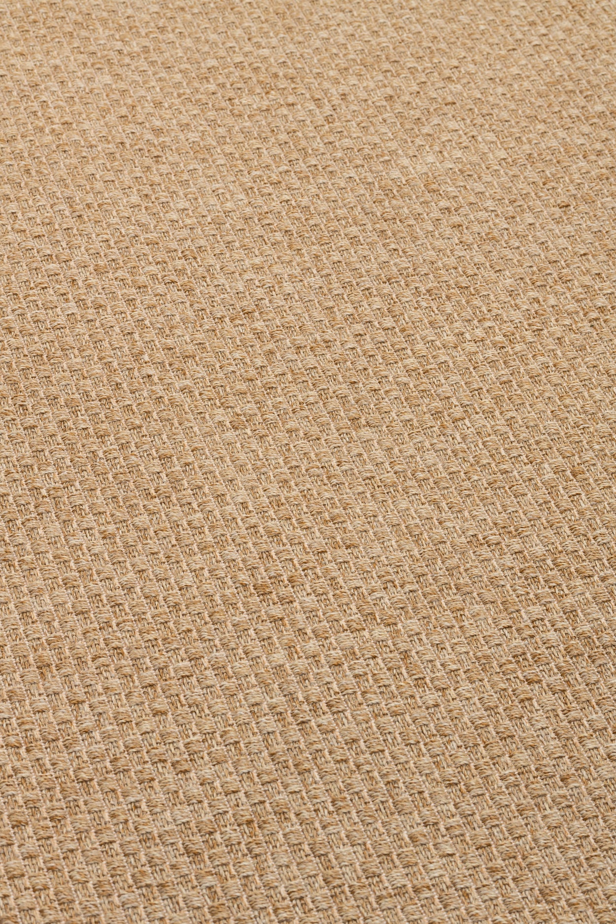 Agave Trinidad Carpet In/outdoor - 5 sizes