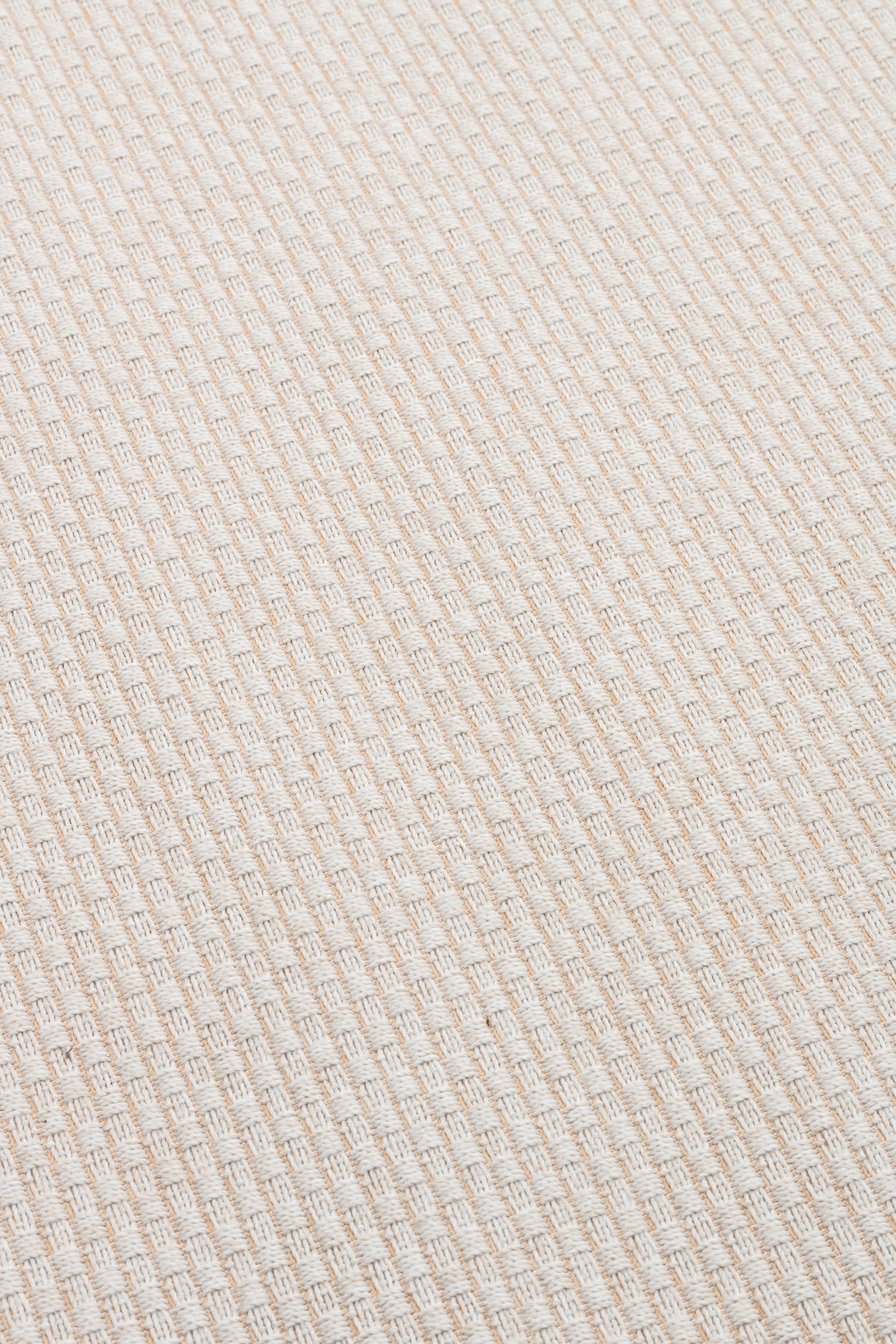 Agave Trinidad Carpet In/outdoor - 5 sizes