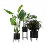 Ivo Plant Stand - 3 sizes