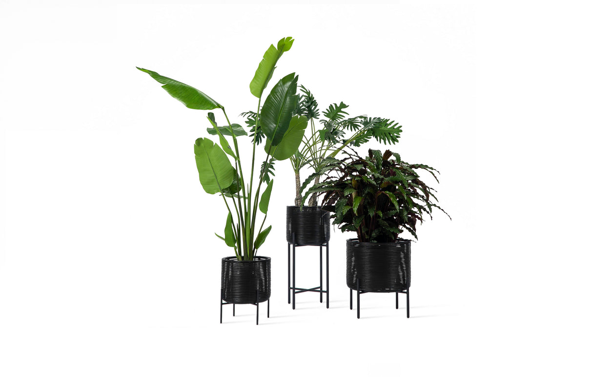 Ivo Plant Stand - 3 sizes