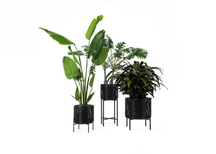 Ivo Plant Stand - 3 sizes