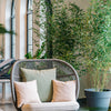 Kodo Lounge chair