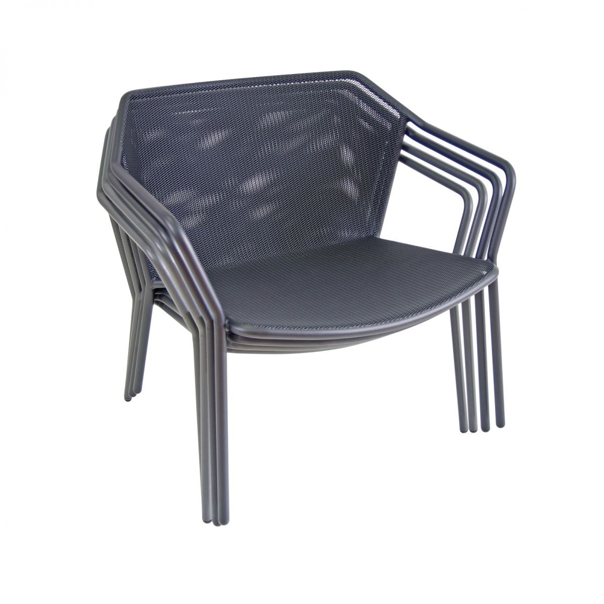 Darwin Lounge chair / 2 stuks