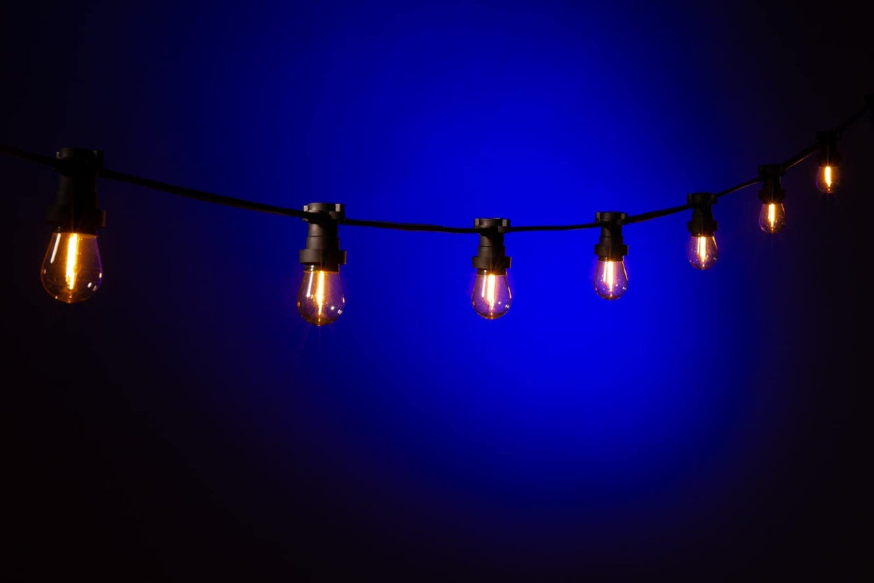 Lichtsnoer zwart excl. lampen - 3 sizes