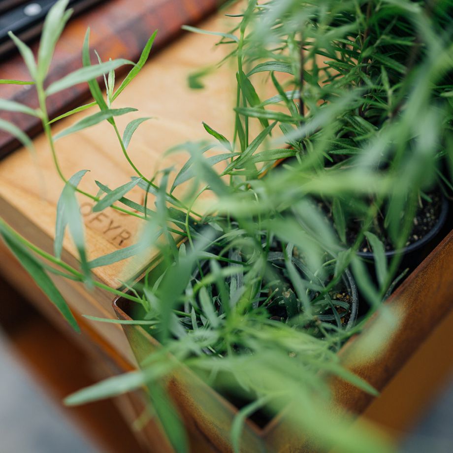 Island 100 PRO - Corten