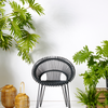 Roxy dining chair