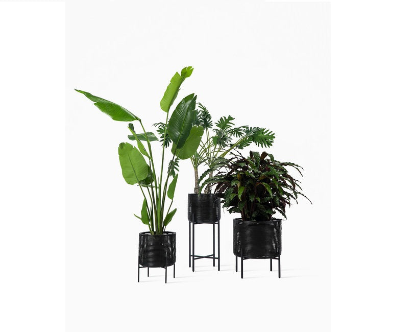 Ivo Plant Stand - 3 sizes