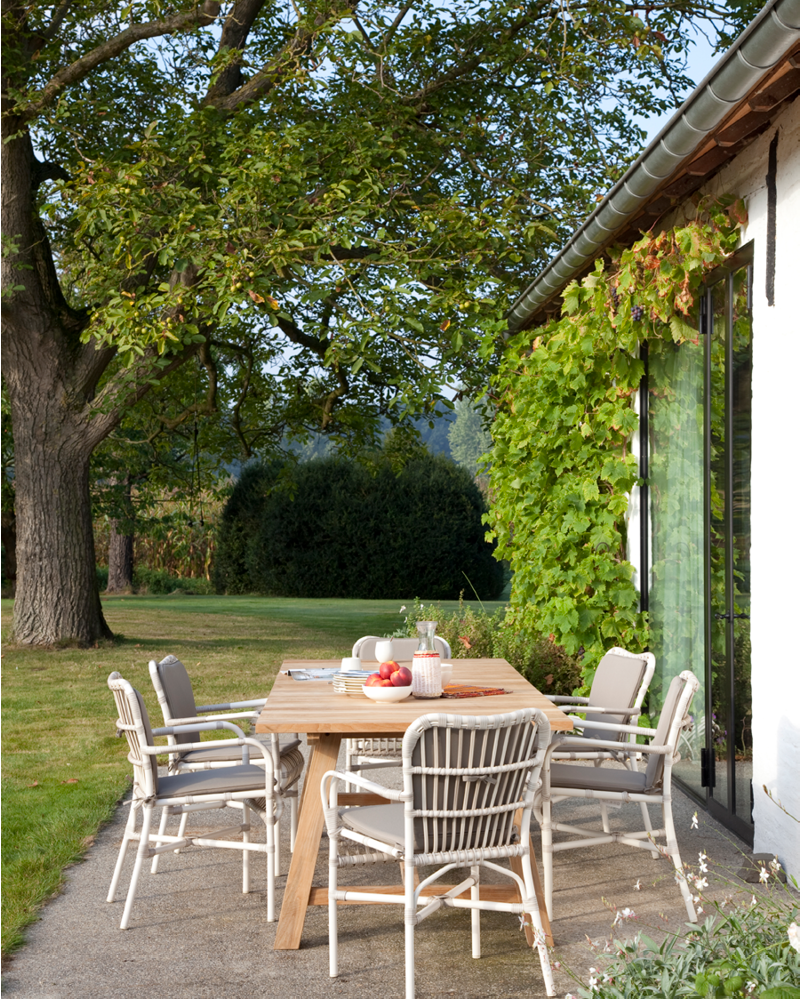 Lucy Dining armchair